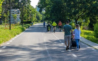 Sute de arbori, în pericol! Cetățenii cer Primăriei să asculte