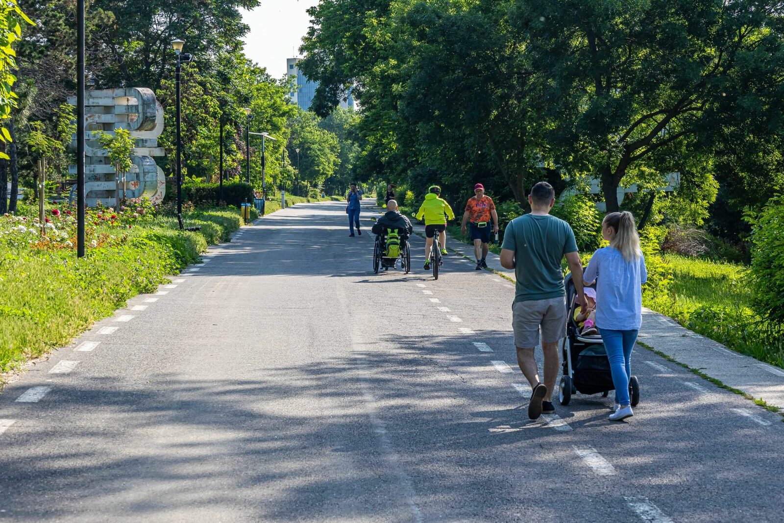 Sute de arbori, în pericol! Cetățenii cer Primăriei să asculte