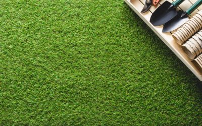 Caniculă! Salvează-ți gazonul galben fără replantare