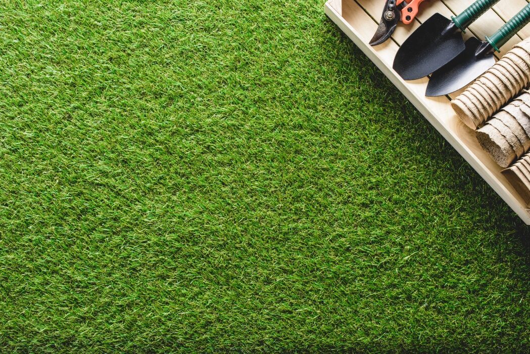 Caniculă! Salvează-ți gazonul galben fără replantare