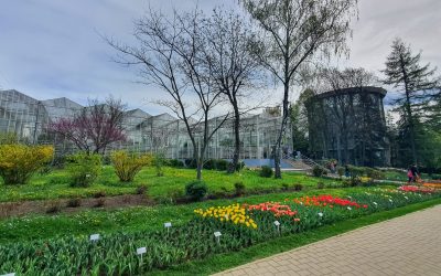 Prima grădină botanică din România, un unicat