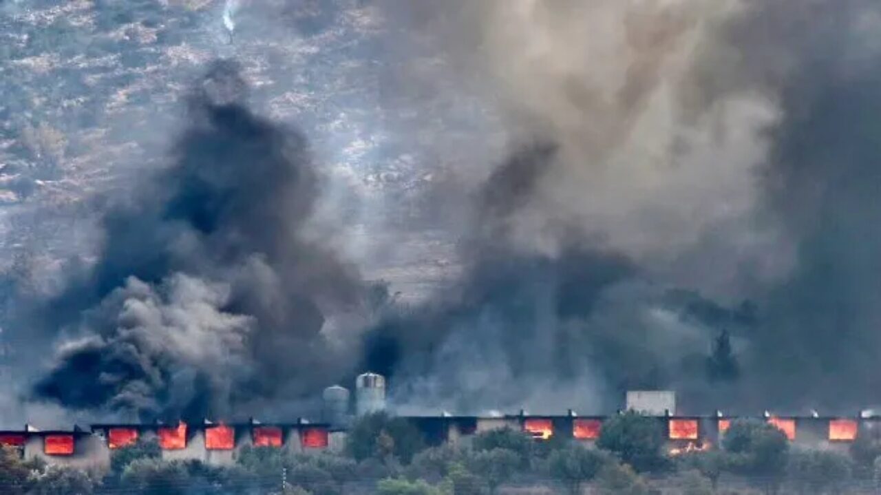 Incendii lângă Atena! Grecia sufocată de căldură extremă