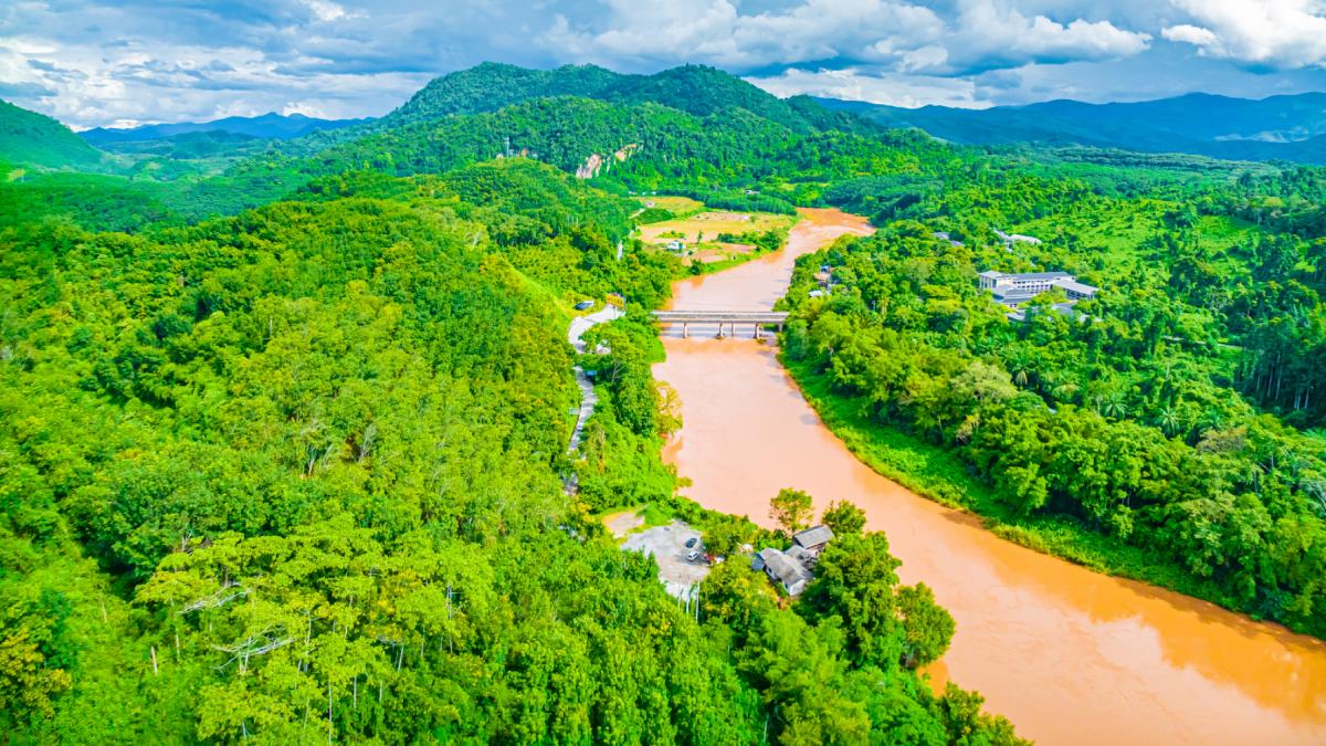 China: Amazoanele refăcute în 20 de ani, o minune ecologică