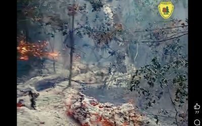 Incendiu Plauru: Dronă ar fi provocat flăcările în Pădurea Romsilva