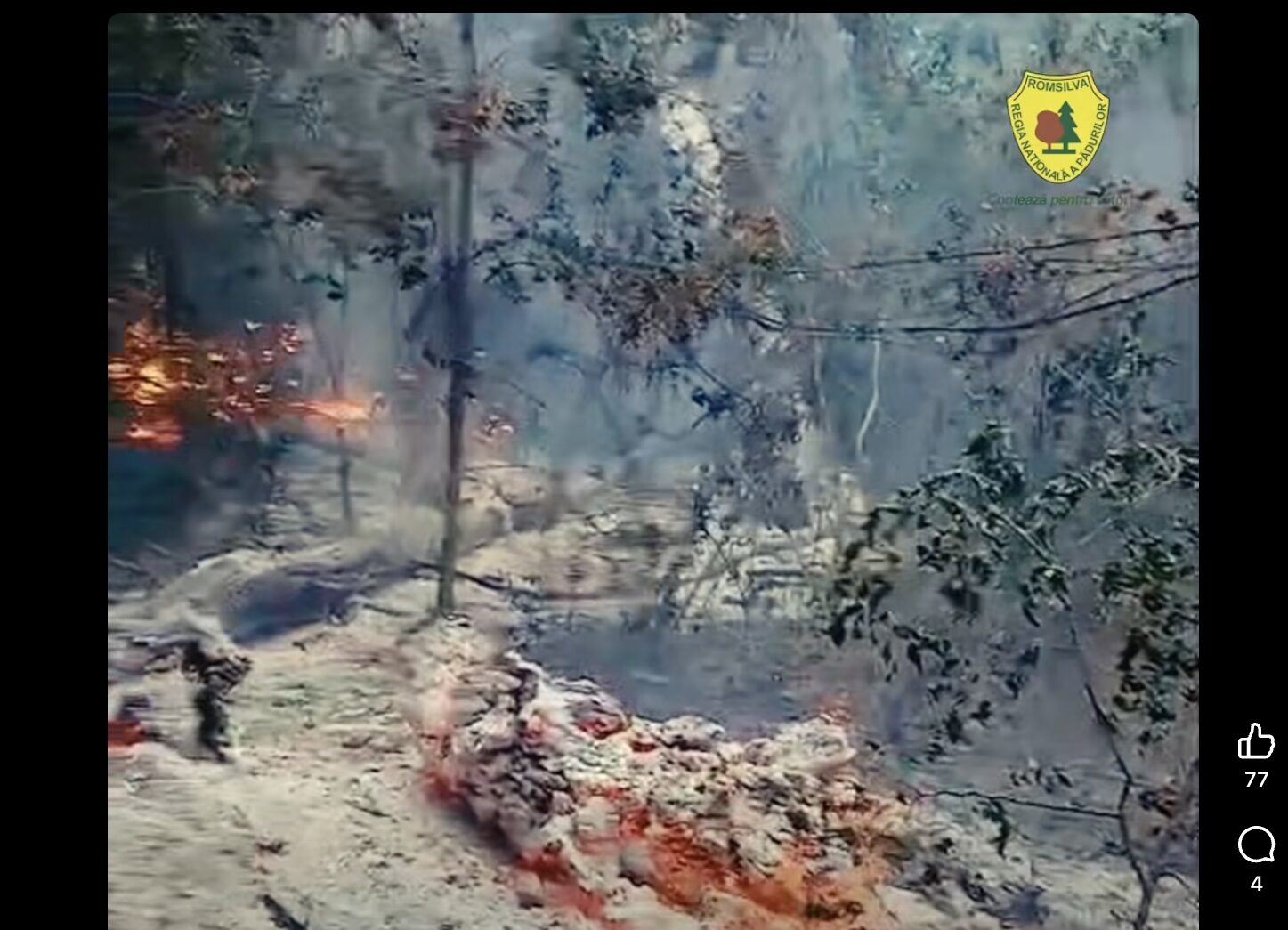 Incendiu Plauru: Dronă ar fi provocat flăcările în Pădurea Romsilva