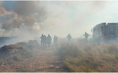 Sibiu: Flăcări pe Valea Avrigului, pompierii luptă cu focul