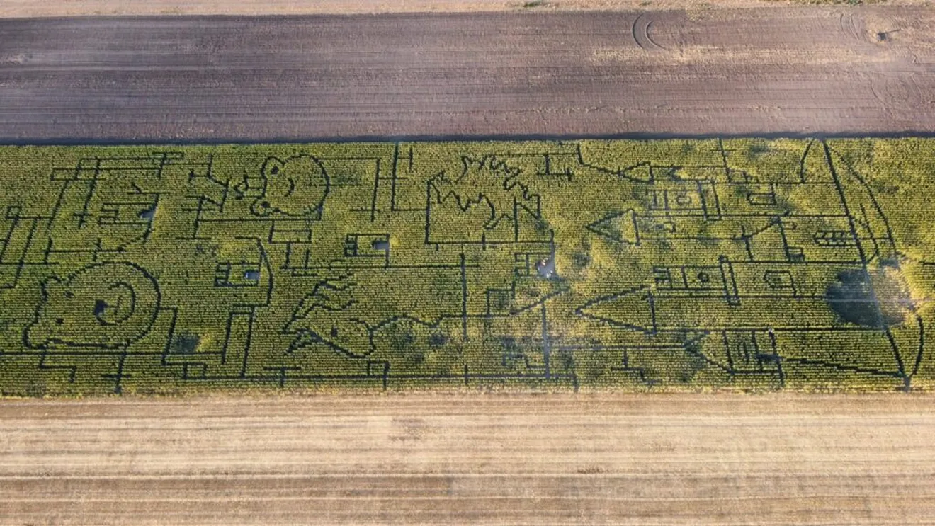 Labirint de poveste lângă România: Aventură printre 2,5 km de porumb înalt