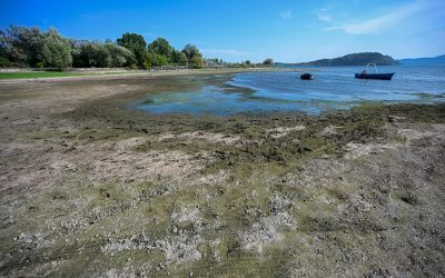 Italia și Elveția salvează orezul din Alpi cu apă de lac