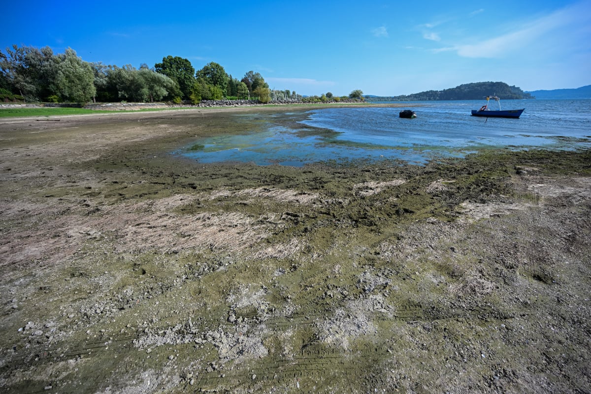 Italia și Elveția salvează orezul din Alpi cu apă de lac