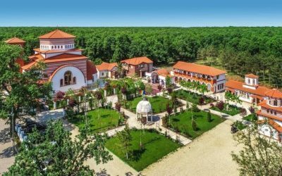 Moaștele Sfântului Vasile cel Mare ajung în România