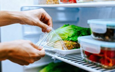 Curele de curent: Cât țin alimentele în frigider după penurie