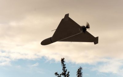MApN: Altă dronă prăbușită la Plauru, lângă Măcin