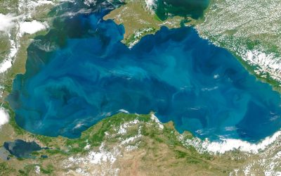 Războiul Mării Negre amenință prețul cerealelor din Europa