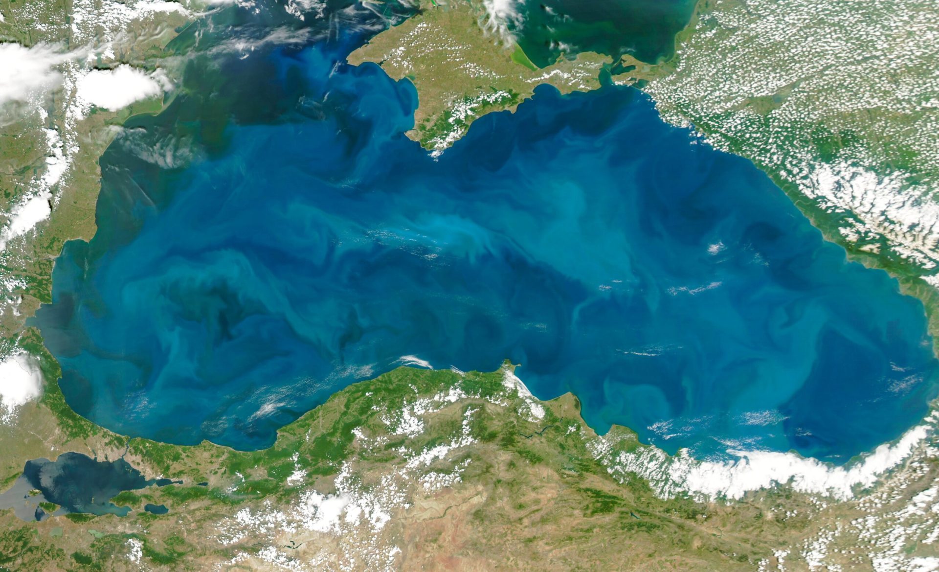 Războiul Mării Negre amenință prețul cerealelor din Europa