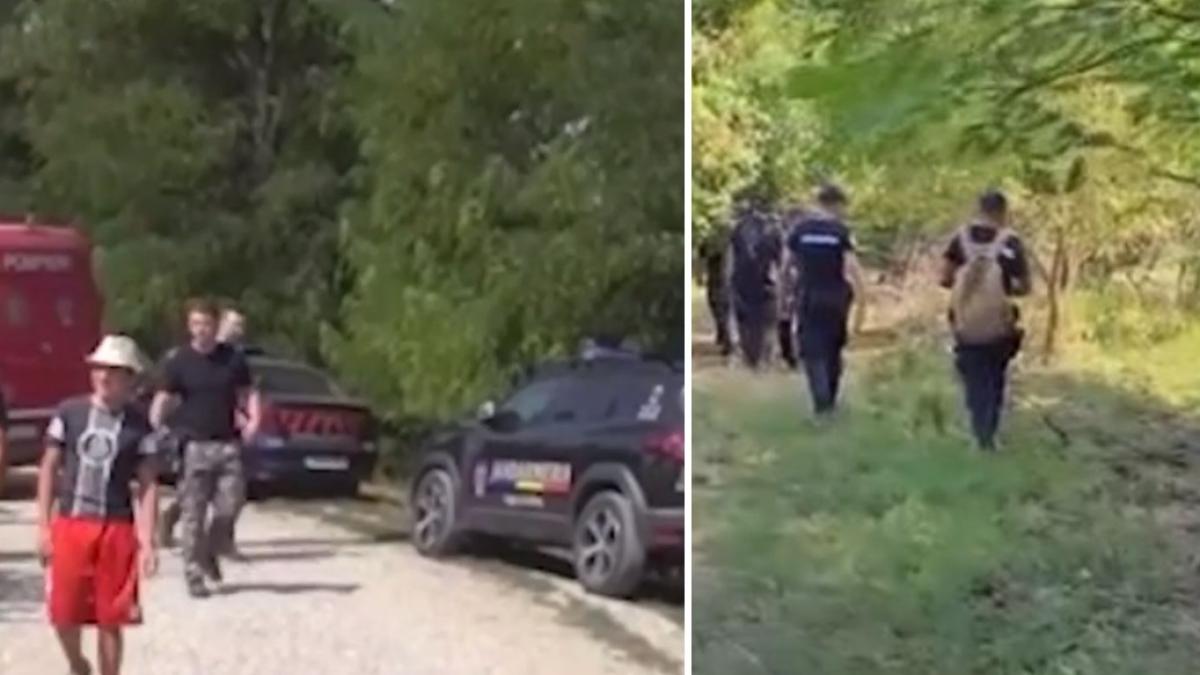 Fetiță dispărută la Bacău: Urlete de ajutor de 3 zile