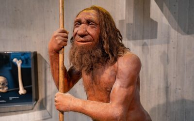 Moștenirea Neanderthalilor: Gena super-musculoasă, nu la toți oamenii