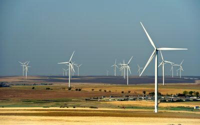 BUȘOI: Eolianul scade importurile, prognoze bune la Energie