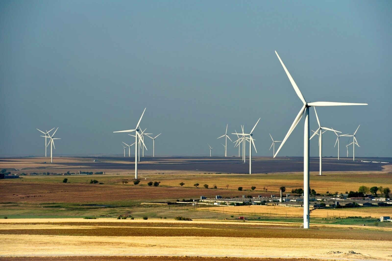 BUȘOI: Eolianul scade importurile, prognoze bune la Energie