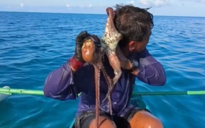 Caracatiță terifiantă a atacat un pescar în Filipine