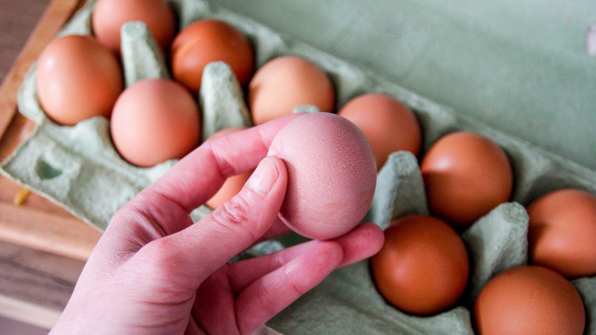 Salmonella în Europa: 300+ bolnavi, ouă din Belgia suspecte
