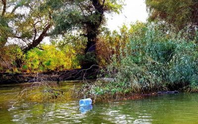 Horeca în Deltă: Canalul Uzlina, blocat, afectează turismul