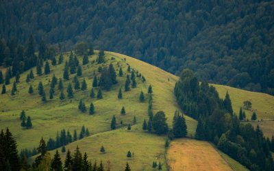 Legea Biodiversității: 972 mil. Euro vs. Realitatea aspra bio România
