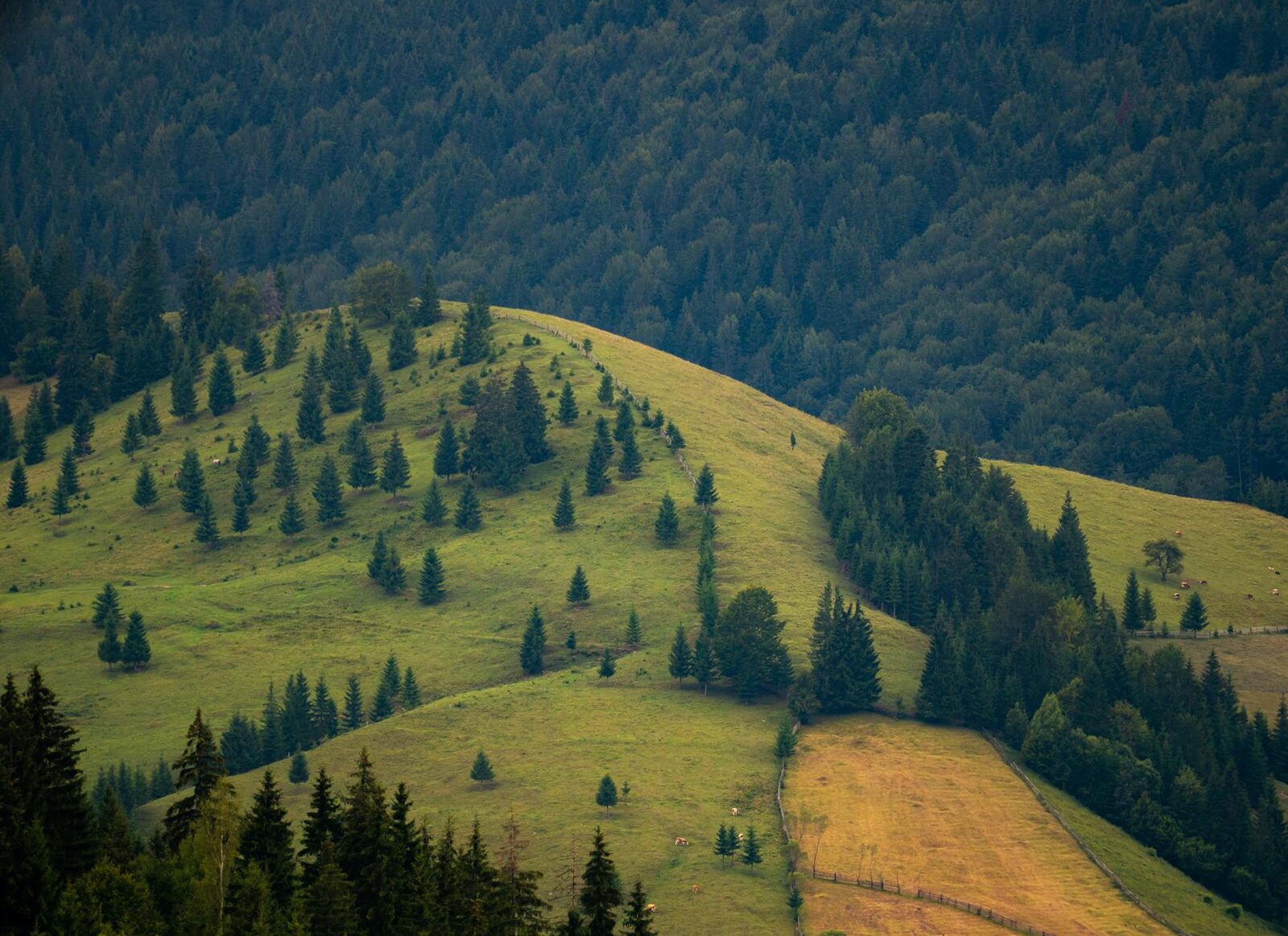 Legea Biodiversității: 972 mil. Euro vs. Realitatea aspra bio România