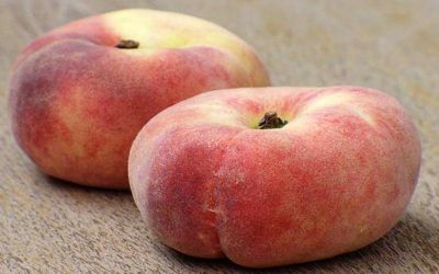 Piersici plate: Natură sau creație? Adevărul despre ele
