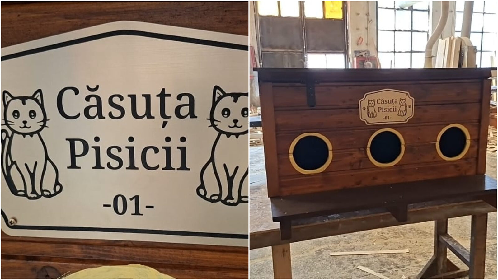 Arad: Căsuțe gratuite pentru pisicile comunitare
