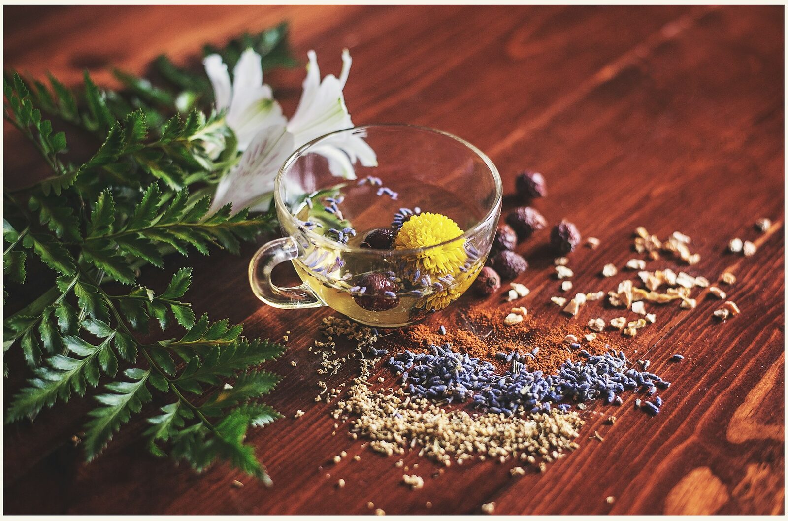 Nopți nedormite? 7 plante, aliatul tău natural