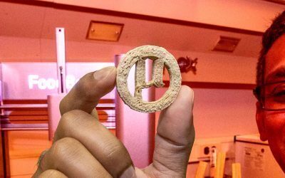 Plastic în biscuiți: Savanții au reușit cu drojdie modificată