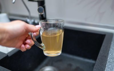 Mangan în apă: Când e periculos și o poți bea?