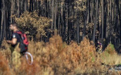 UE cere investiții masive în natură contra incendiilor devastatoare