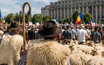 Variole la oi și capre: Focare ascunse în România și Bulgaria