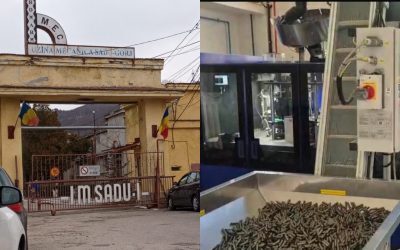 Sadu renaște: Angajări și negocieri cu americanii pentru muniție