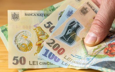 Președintele cheamă liderii partidelor, legea salarizării în discuție