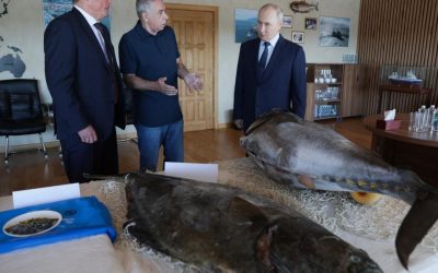 Putin în Kurile revendicate de Japonia: Moscova provoacă Tokyo