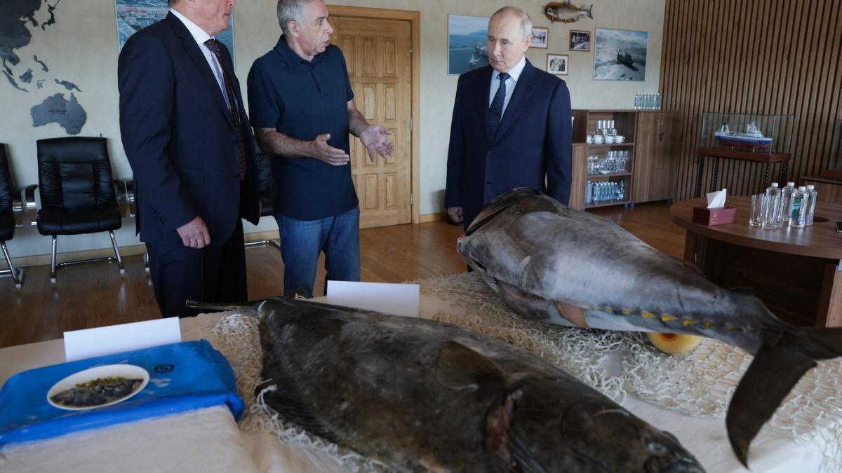 Putin în Kurile revendicate de Japonia: Moscova provoacă Tokyo