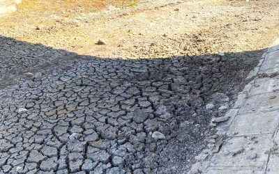 Secetă cruntă în Bihor: 33 de localități sub STOP la apă