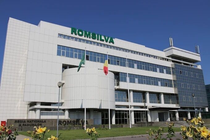 Romsilva, pe podium la contracte. Doar Moinești, peste ei
