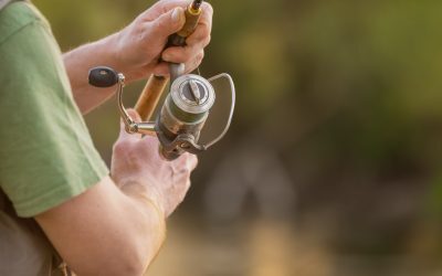 Foraje ilegale la Arad: Pescărie a primarului, în plină criză de apă
