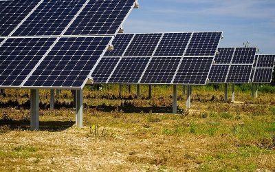 RO: OK! Un GW solar în vestul țării, avizat de autorități