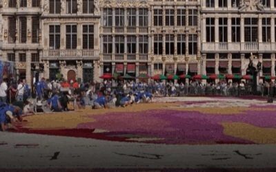 Bruxelles, covor de 500.000 de flori în Grand Place
