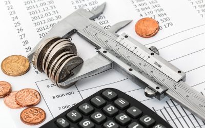 Finanțe: Creștere economică infimă, 0,1% anul acesta