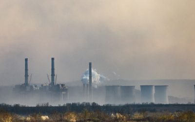 România are resursele: Deficitul de producție va fi acoperit