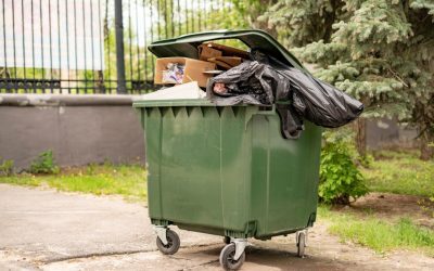 Scapă de muște din jurul tomberonului: Trucuri simple