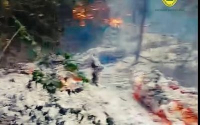 Plauru: Pădure în flăcări după explozia unei drone? Romsilva dă primele indicii