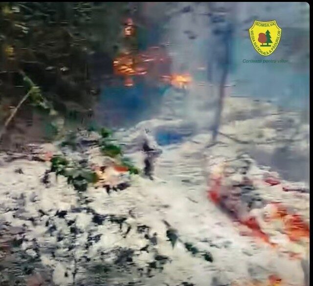 Plauru: Pădure în flăcări după explozia unei drone? Romsilva dă primele indicii