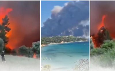 Halkidiki: Incendiu uriaș forțează evacuarea turiștilor