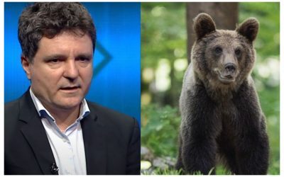 Nicuşor Dan retrimite la Parlament legea pentru urșii „maidanezi”